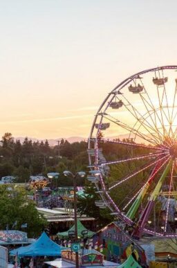 fair at dusk with ferris wheel and other rides and booths
